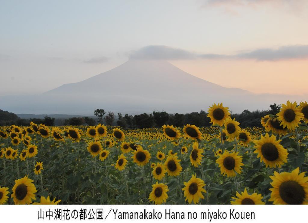 Pension Country Diary Yamanakako Bagian luar foto